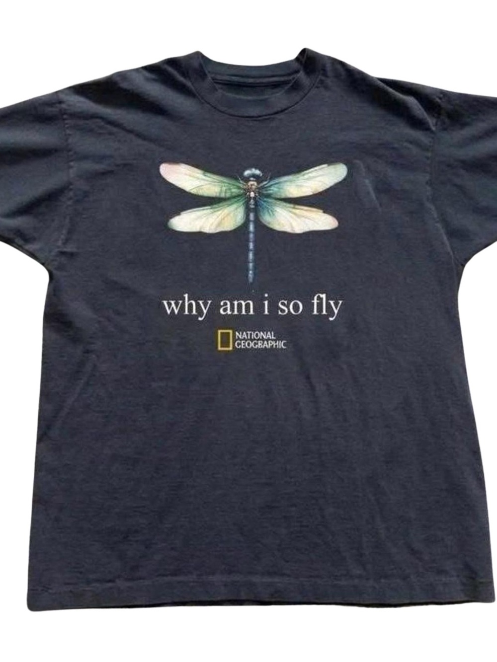Black Tee with Pastel Dragonfly Graphic